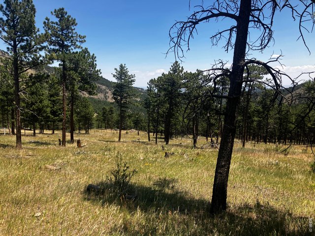 Property Photo 16 Home Site