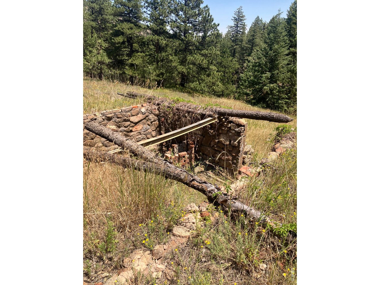 Property Photo 28 Old Miners Cabin