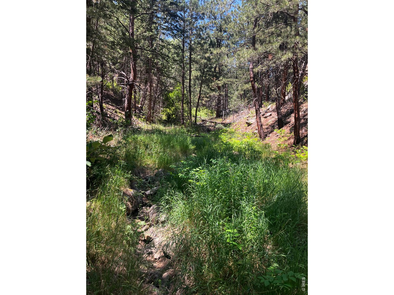 Property Photo 35 Seasonal stream