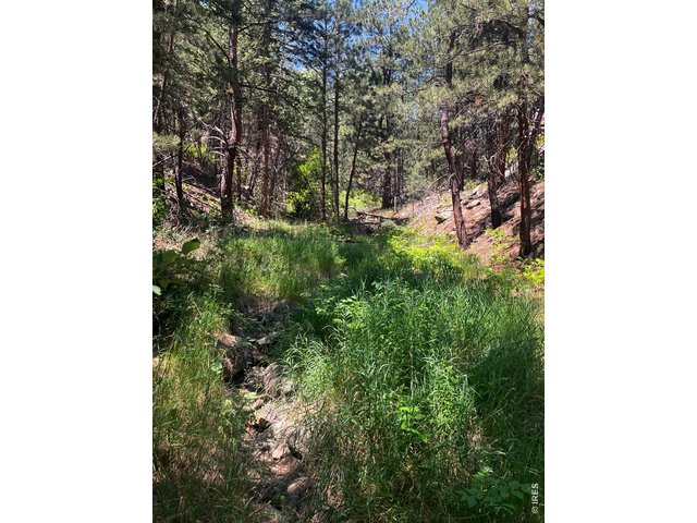 Property Photo 35 Seasonal stream