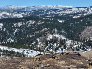 1390 Walking Wind Dr Bellvue, CO 80512