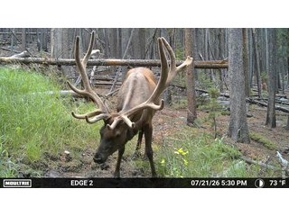 0 Twin Spruce Rd Golden, CO 80403