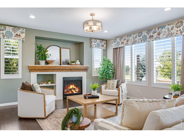 Property Photo 13 Family room with gas fireplace and custom mantel, hidden doggie door, custom center light plus 4 can lights