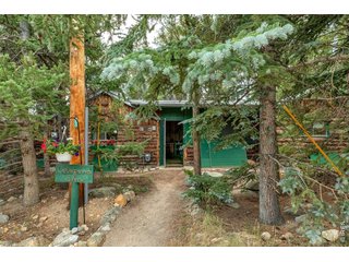 650 W Pine St Nederland, CO 80466