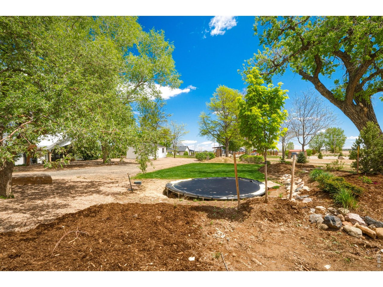 Property Photo 39 Open yard with endless potential for outdoor living.
