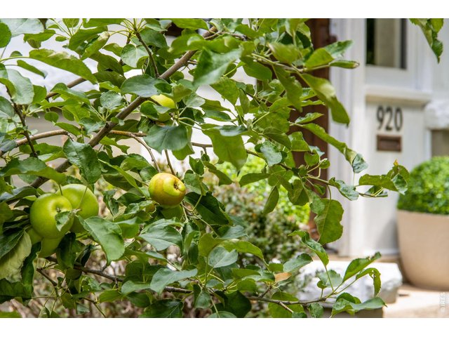 Property Photo 4 Fruit Trees Right Out Your Front Door