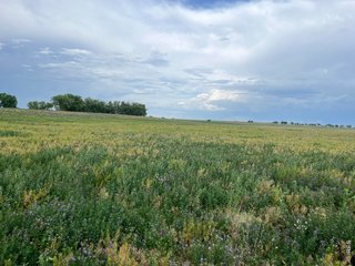 0 County Road 33 Platteville, CO 80651