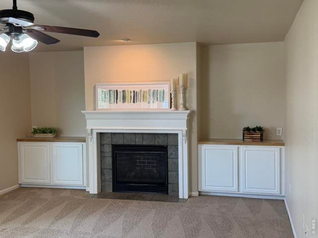 Property Photo 5 Slate surround gas fireplaces and built ins create a cozy place to snuggle in while the snow is falling outside