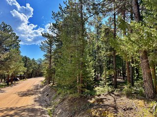 312 Ridge Rd Ward, CO 80481