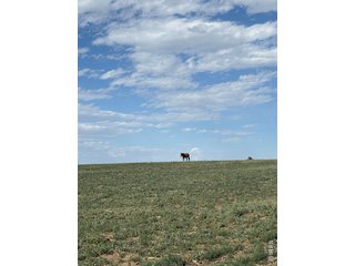 0 County Road 35 B Platteville, CO 80651