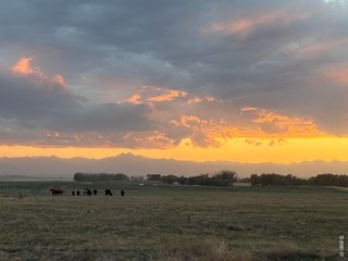 0 County Road 35 A Platteville, CO 80651
