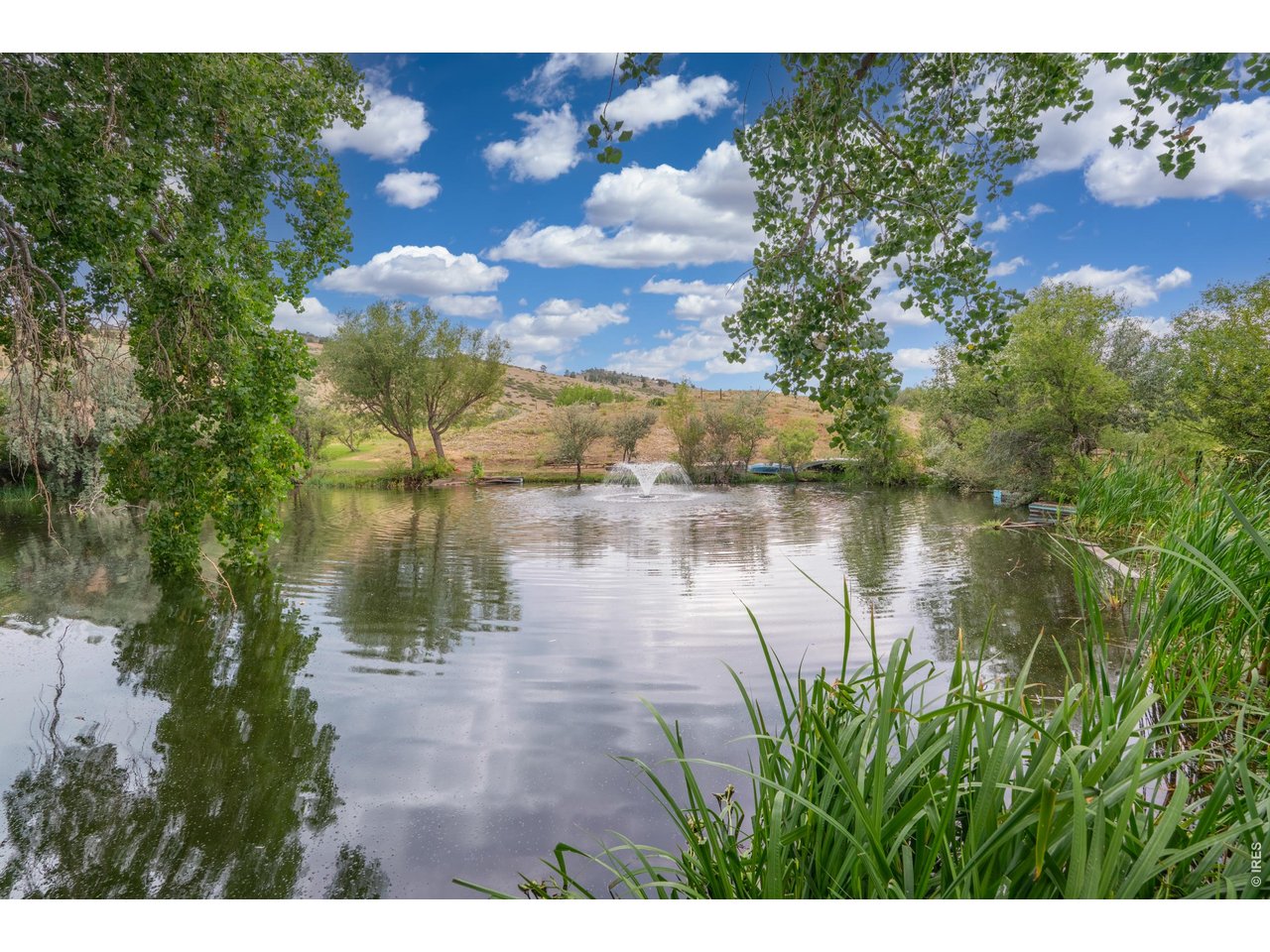 Property Photo 42 The aerated pond with a hillside backdrop fish it, irrigate from it, or just enjoy the serene views!