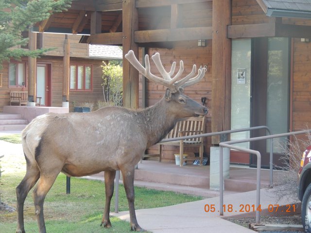 Property Photo 1 