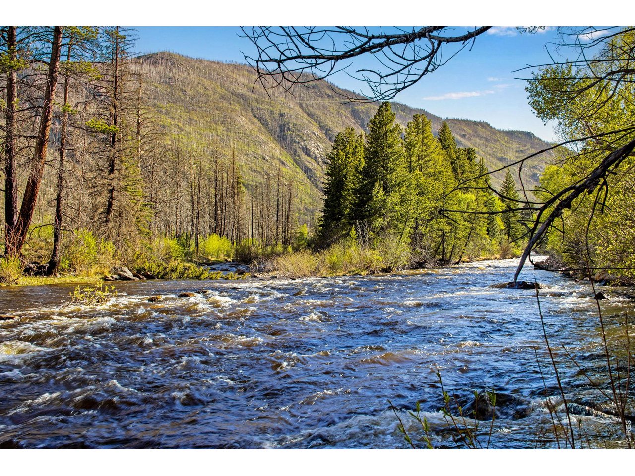 Property Photo 2 This property features over 1000 feet of the Cache la Poudre River.