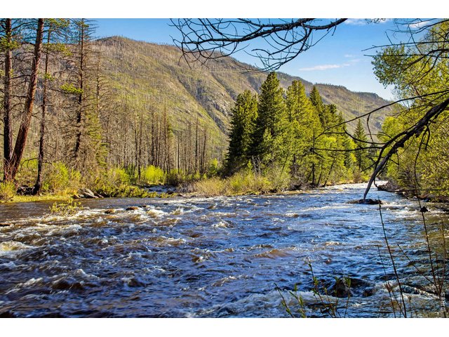 Property Photo 2 This property features over 1000 feet of the Cache la Poudre River.