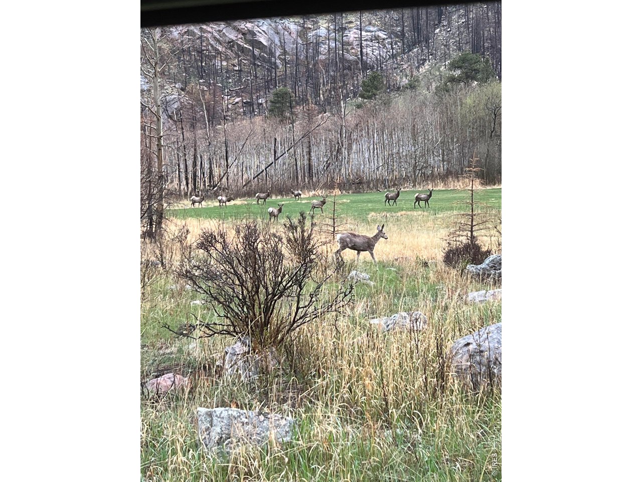 Property Photo 47 Tons of wildlife
