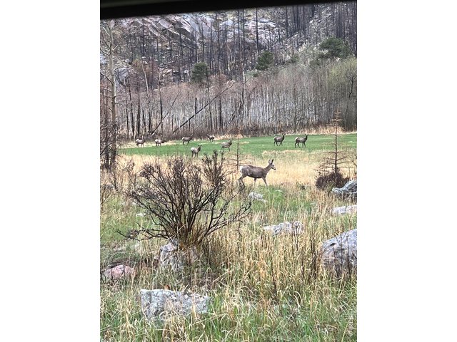 Property Photo 47 Tons of wildlife