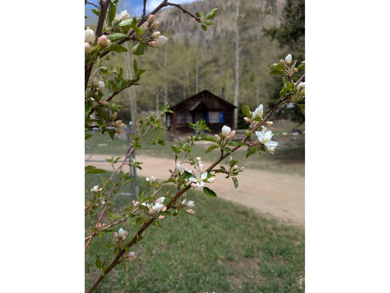 Property Photo 48 Enjoy every season Colorado has to offer