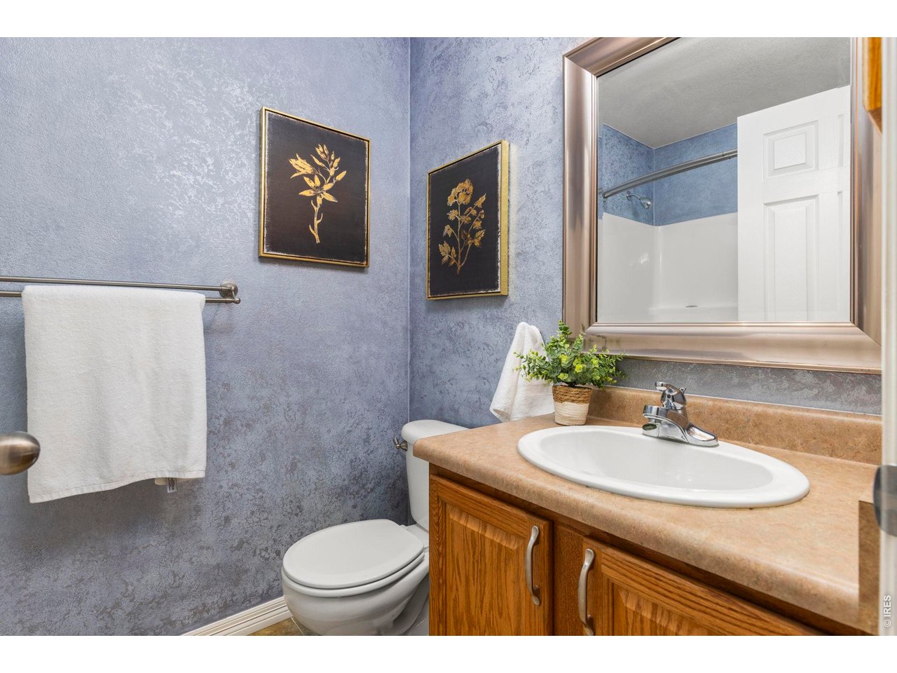 Property Photo 19 main level full bath with shower
