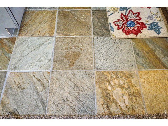 Property Photo 37 Bear prints on the tile in the kitchen and in the 3/4 bath.