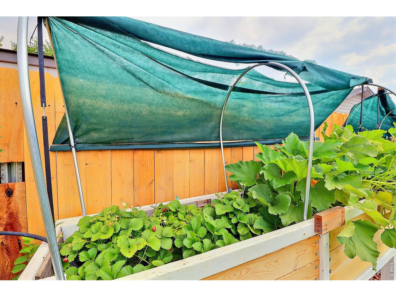 Property Photo 46 