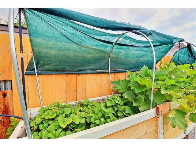 Property Photo 46 
