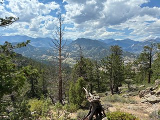 0 Prospect Mountain Dr Lot 37 Estes Park, CO 80517