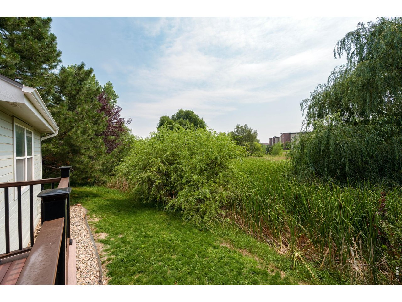 Property Photo 25 Small Open Backyard