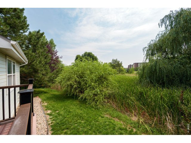 Property Photo 25 Small Open Backyard
