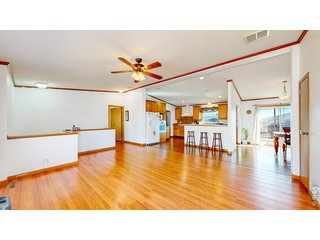 38 Carson Peak Ct Livermore, CO 80536