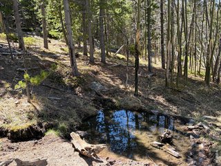 2174 Bear Gulch Rd Red Feather Lakes, CO 80545