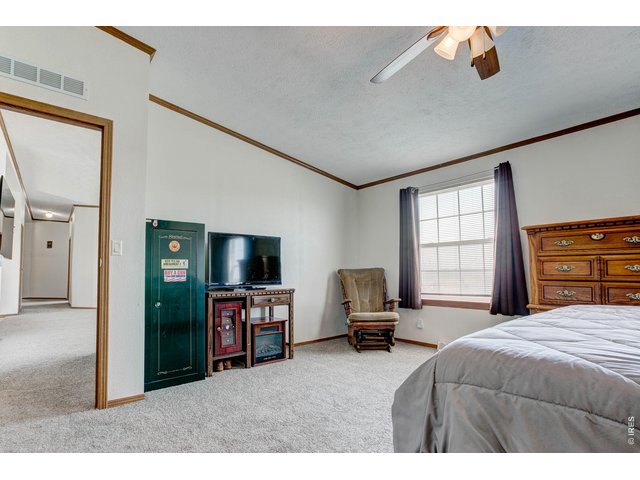 Property Photo 25 Large Primary with vaulted ceilings and ceiling fan
