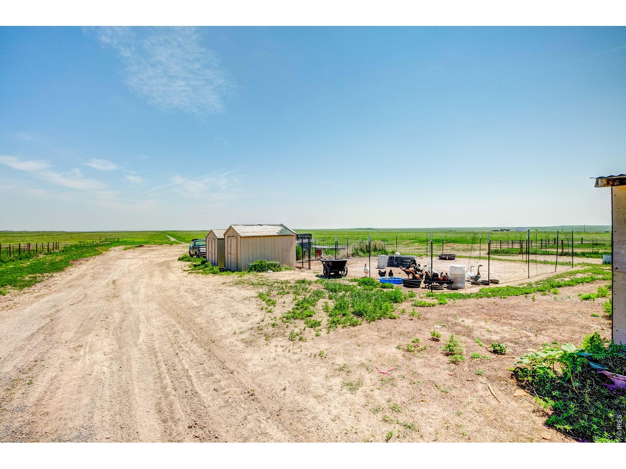 Property Photo 36 Plenty of set up room for chickens/goats/farm animals