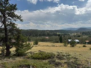 191 Cimarron Rd Red Feather Lakes, CO 80545