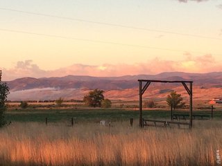 620 W County Road 74 Wellington, CO 80549