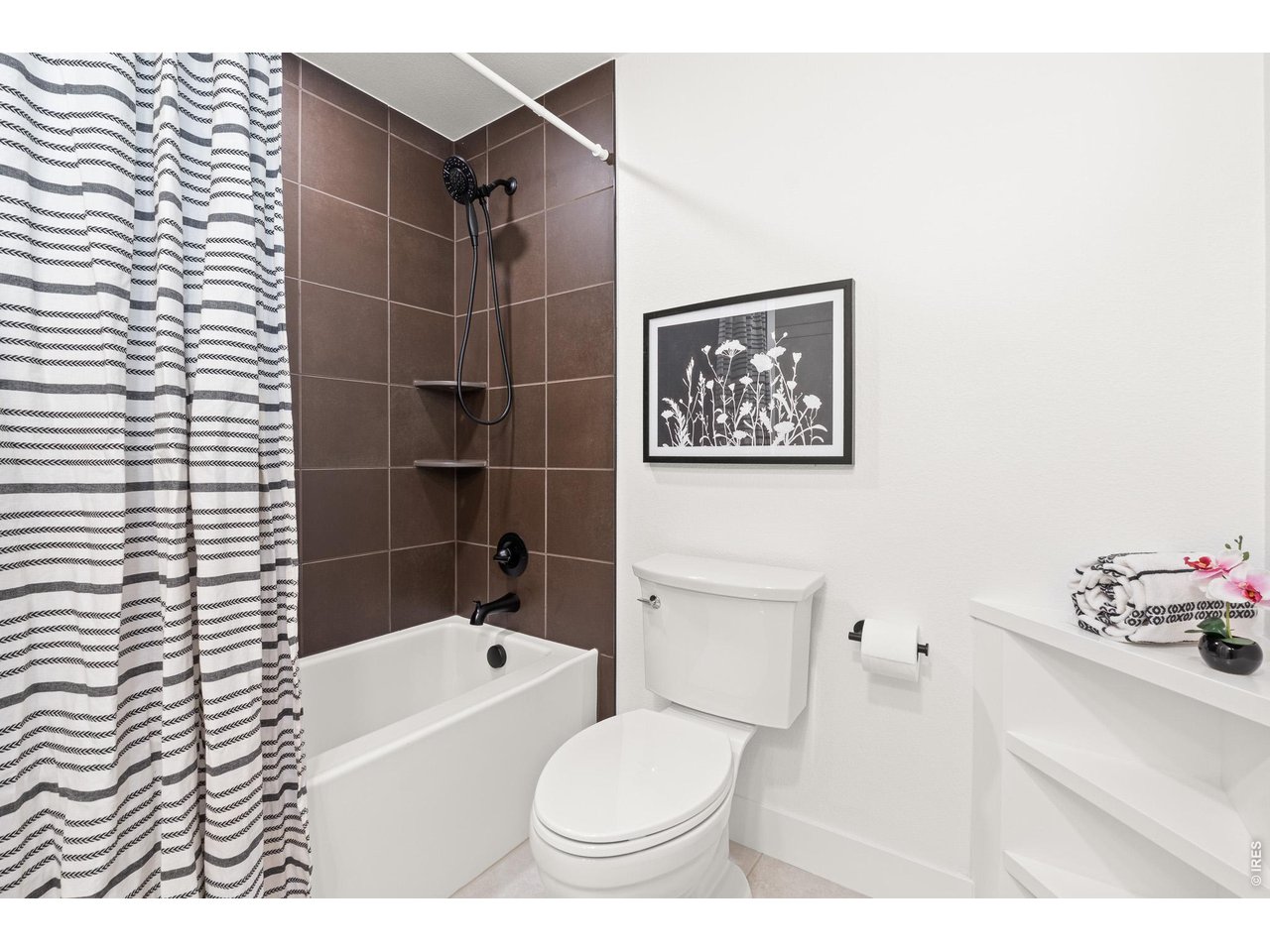 Property Photo 21 Full Bath in Basement