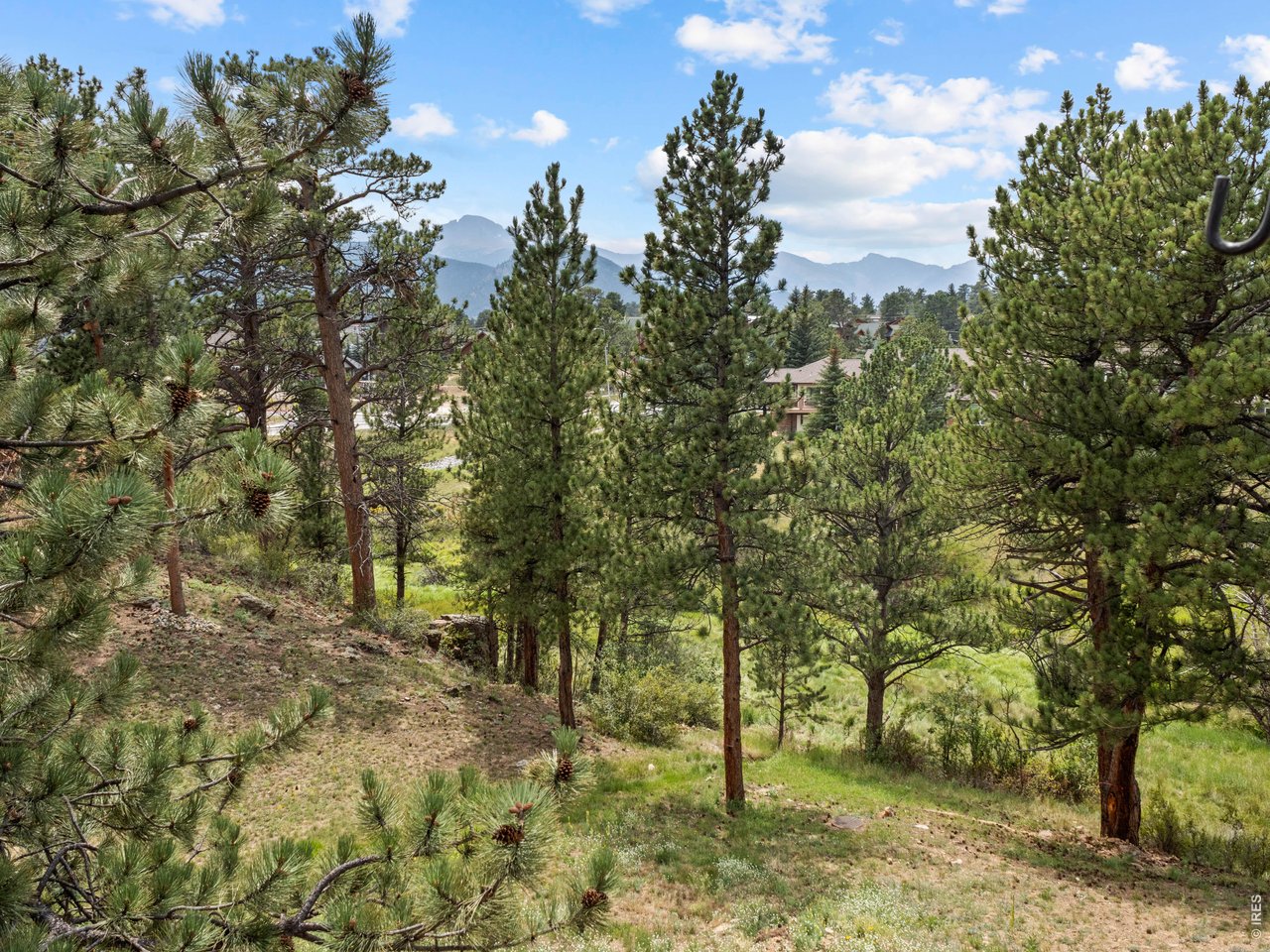 Property Photo 38 Town Open Space with Black Canyon Creek flowing through and lots of wildlife!