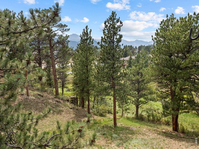 Property Photo 38 Town Open Space with Black Canyon Creek flowing through and lots of wildlife!