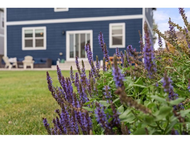 Property Photo 37 