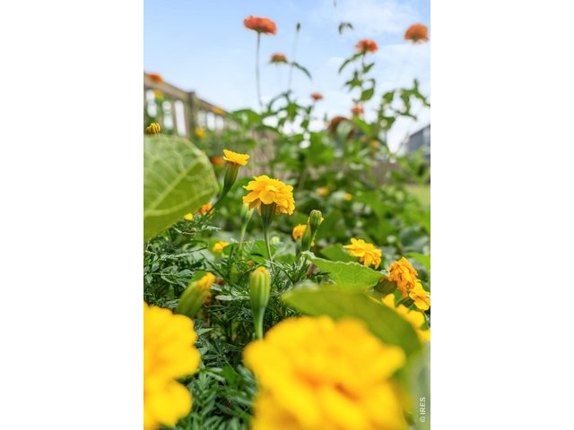 Property Photo 38 