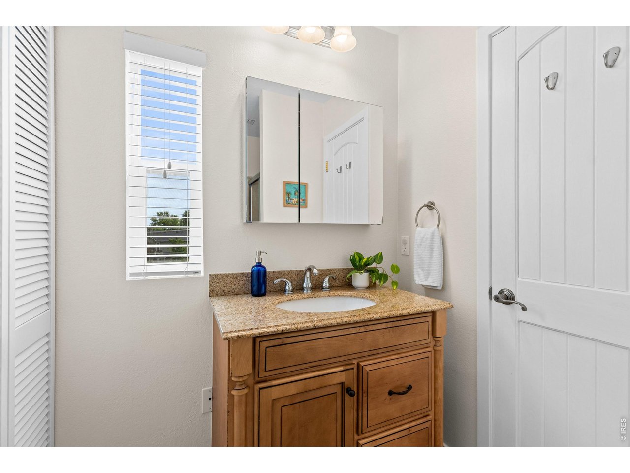 Property Photo 28 Primary vanity w/ door to WC