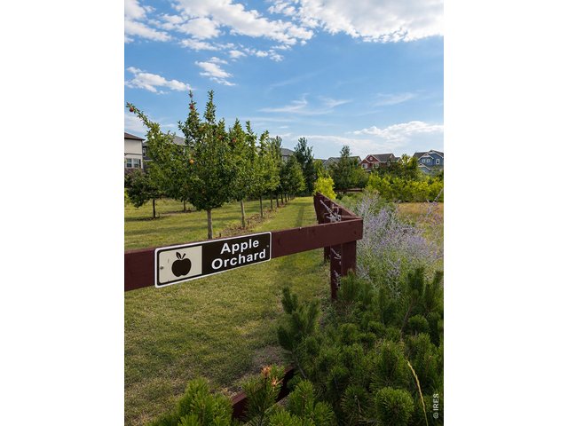Property Photo 25 Apple orchard