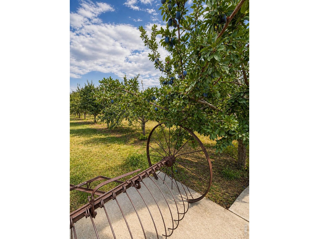 Property Photo 23 Orchard