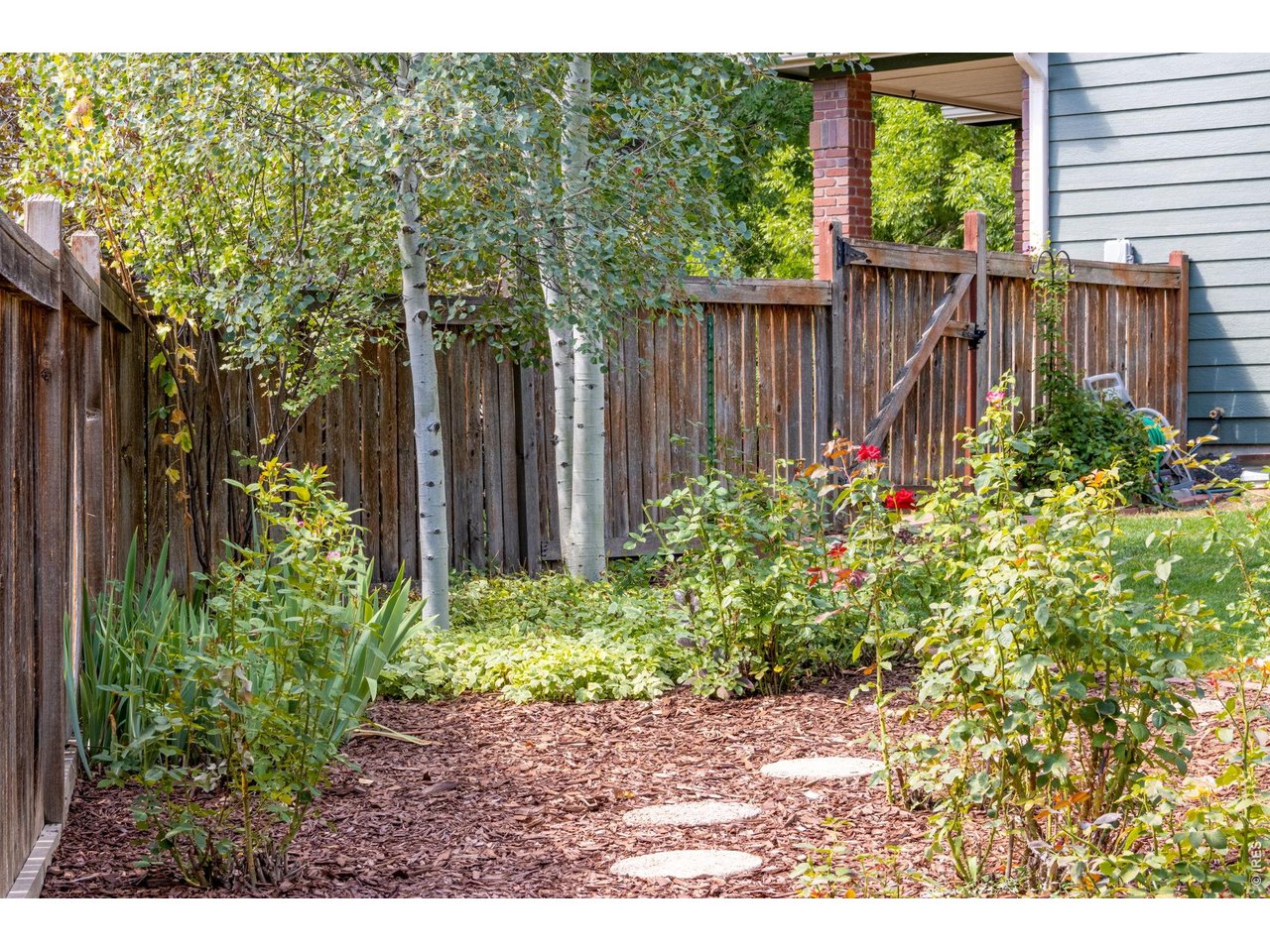 Property Photo 36 Mature and well kept landscaping in the backyard.