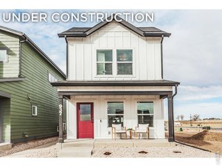 928 Trumpet Ln Windsor, CO 80550