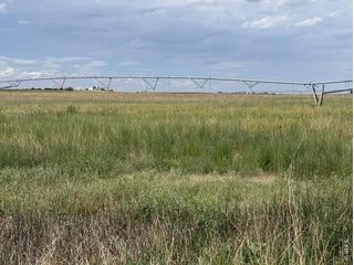 0 County Road 63 Gill, CO 80624