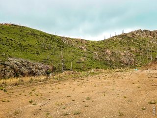 151 Black Mountain Ct Livermore, CO 80536
