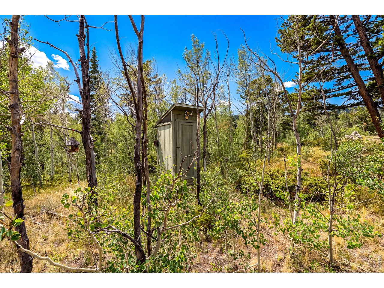 Property Photo 38 