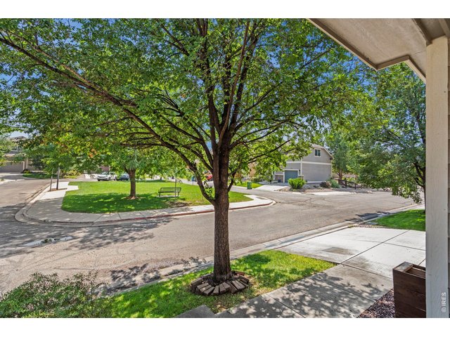 Property Photo 31 