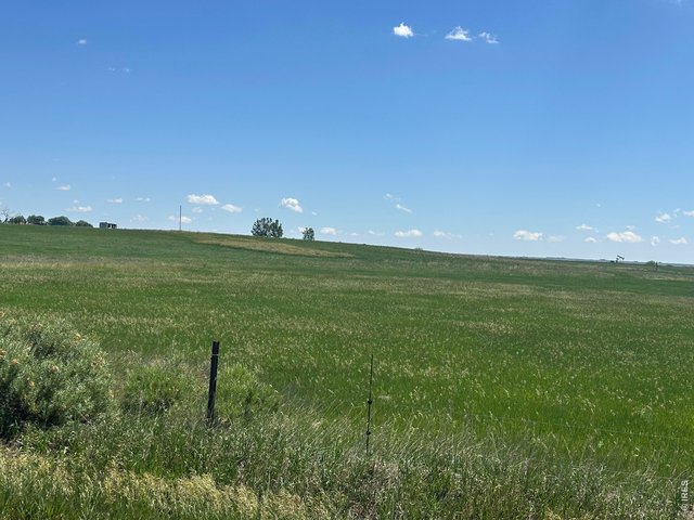 Property Photo 19 Surrounded by other large-acreage properties, this parcel provides a rare sense of privacy without sacrificing convenience
